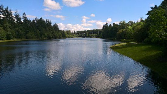 Tottiford Reservoir
