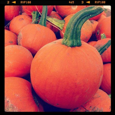 Over Farm Market