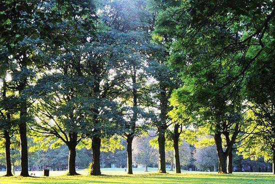 Woodhouse Moor
