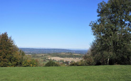 Harting Down