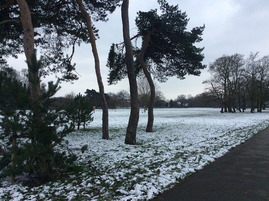 Cator Park