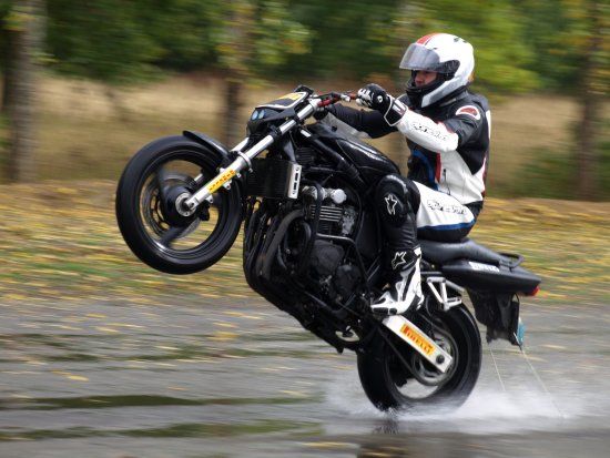 Wheelie School