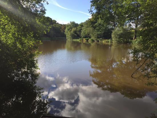 Cliviger Fish Ponds