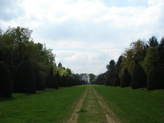 Yew Tree Avenue