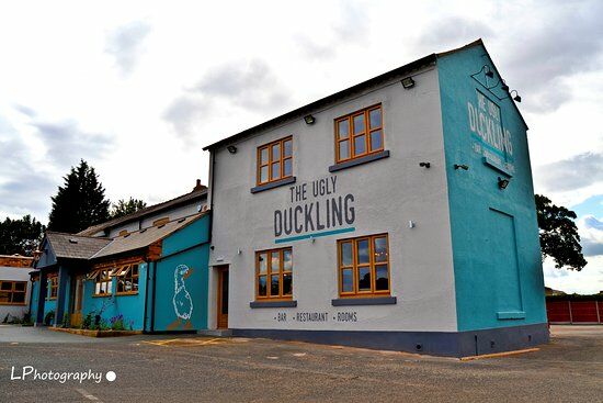 The Ugly Duckling