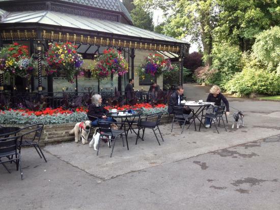 Magnesia Well Tea Room