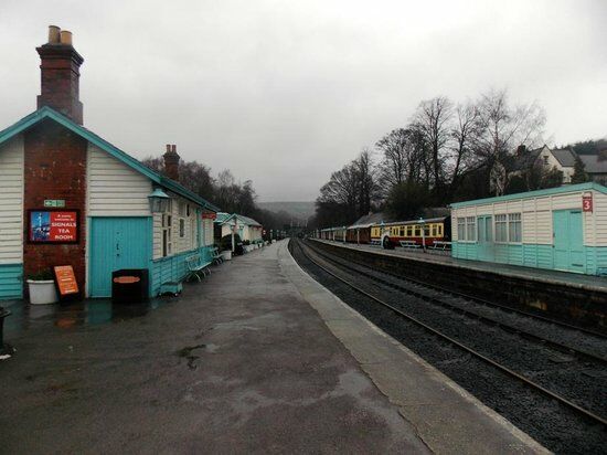 Signal Tea Room