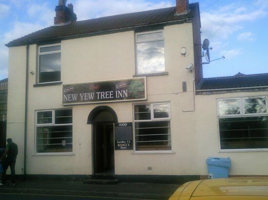 Desi Yew Tree