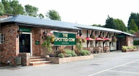 Spotted Cow