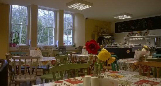 The Cuckoo Cafe