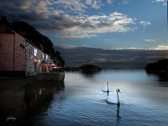 Wilcove Inn