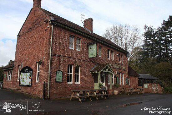 The Twisted Oak