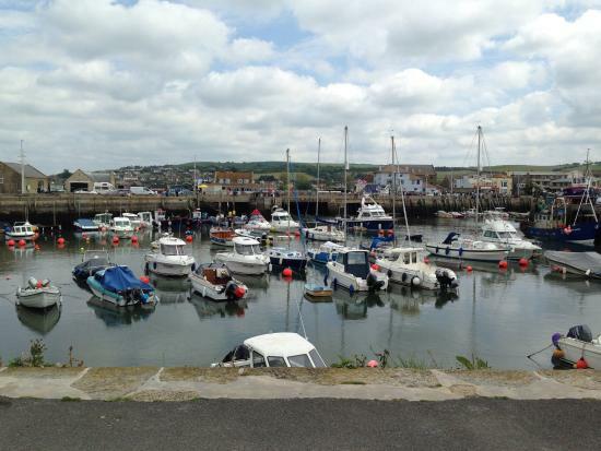 Harbour Lights Fish Bar