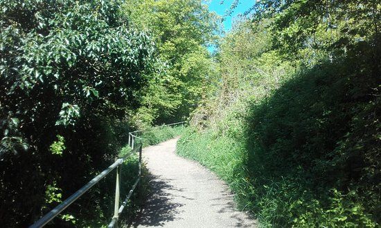 Crackley Woods Nature Reserve