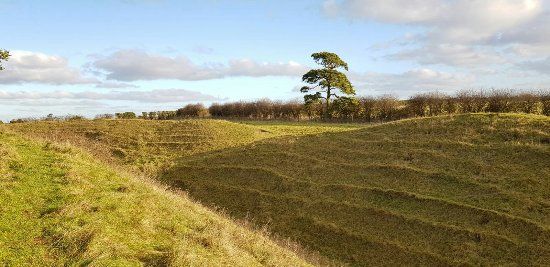 Warham Camp