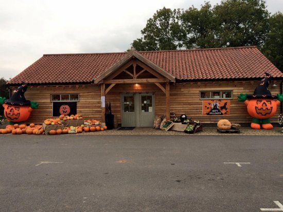 Maxeys Farm Shop Pumpkins