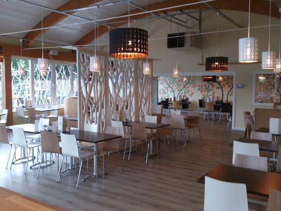 The Olive Tree