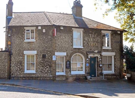 The Walnut Tree