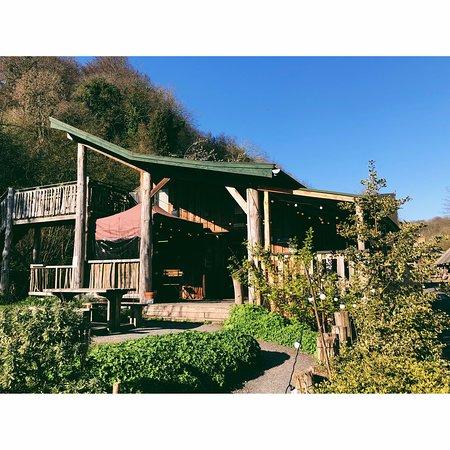 The Green Wood Cafe