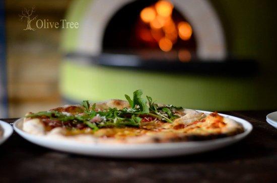 Olive Tree