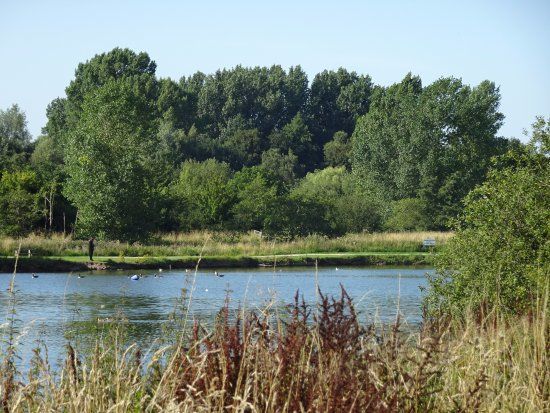 Nantwich Lake