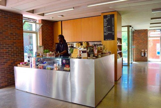 Cafe at the ORTUS