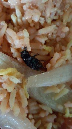 China City Chinese Takeaway