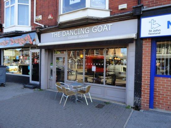 Dancing Goat