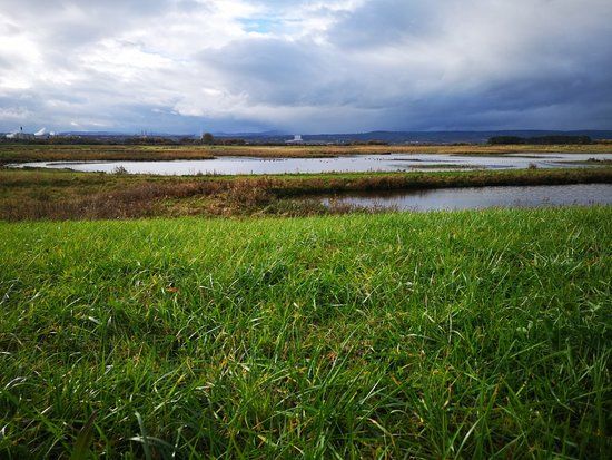 RSPB Burton Mere Wetlands