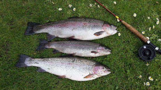 Manningford Trout Fishery