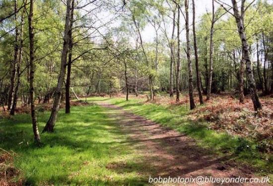Highgate Common Wildlife Reserve