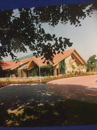 Ninesprings Cafe