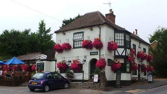 The Roebuck