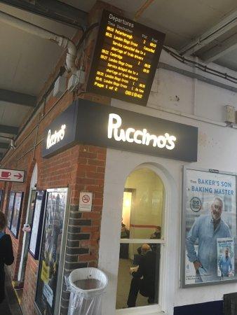 Puccino's