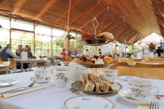 The Refectory Cafe