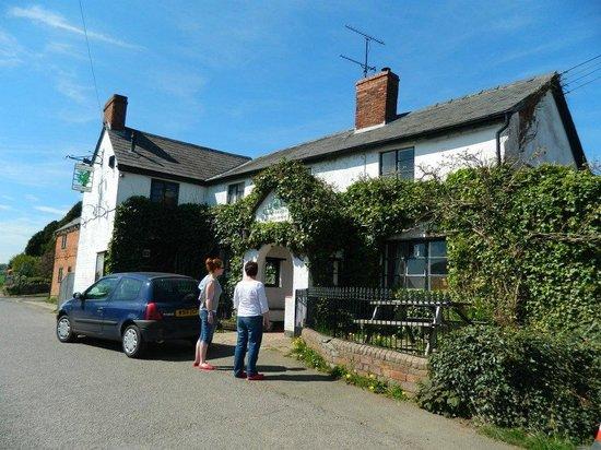 The Green Dragon