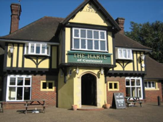 The Harte