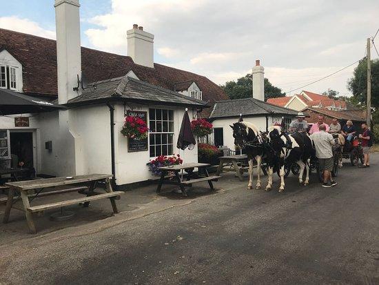 The Hare and Hounds