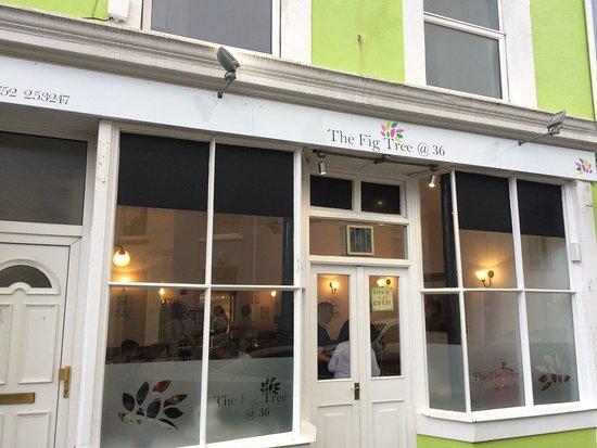 The Fig Tree @ 36