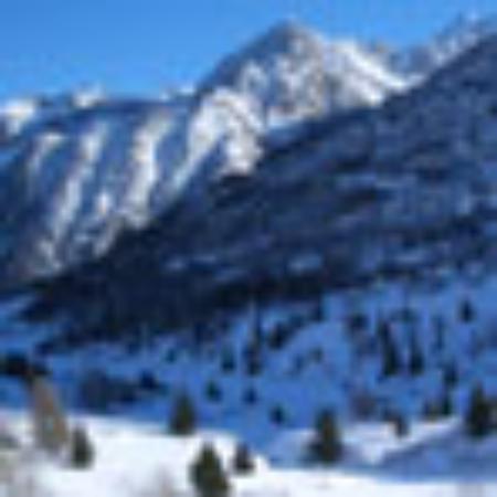 Salsa Pizza