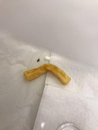 Castle Kebab