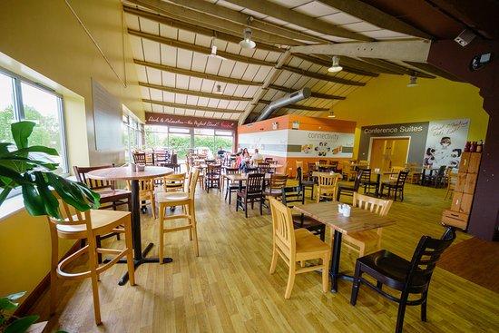 Fresha Cafe