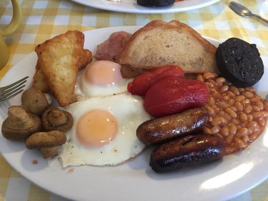 Sunny Side UP