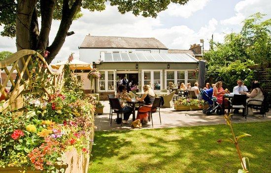 The Cricketers