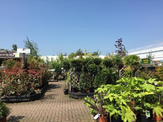Yarnton Home & Garden