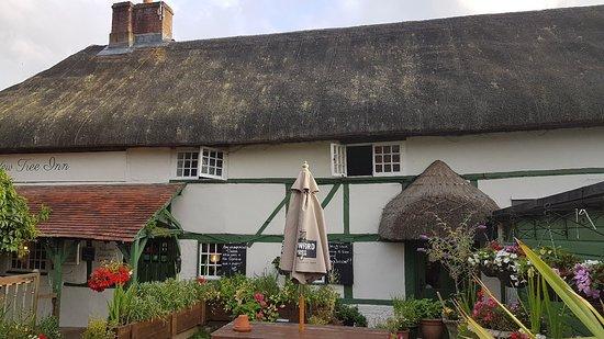 Yew Tree Inn