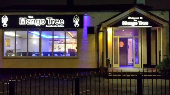 The Mango Tree