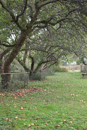Tewin Orchard Nature Reserve