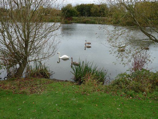 Lodge Lake