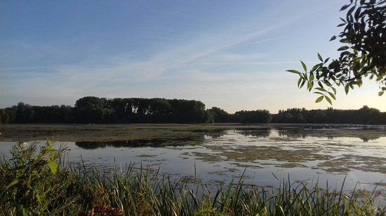 Kinewell Lakes